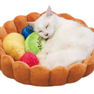 cama-gatos-tarta-de-frutas-