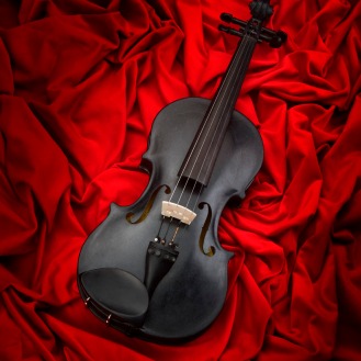 blackbird-violin-02